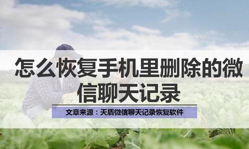 电脑删除的文件如何恢复？（简易教程教你恢复误删除的文件）