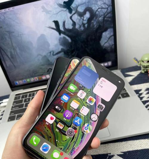 辨别苹果iPhoneXSMax真假的方法（以“区别”为主题的手机真假辨别指南）