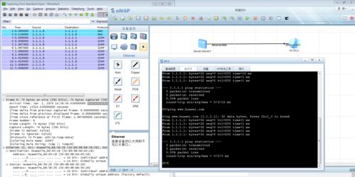 深入了解Ping测试的原理与应用（探索网络连接质量的神器——Ping测试）