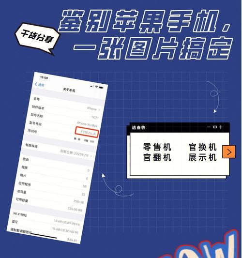 如何准确分辨iPhone型号号码？（掌握iPhone型号号码识别技巧，提高辨识能力）