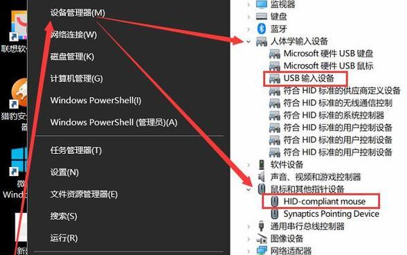 Win10系统键盘失灵调整方法（解决Win10系统键盘失灵的简易方法）