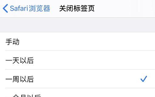 揭秘iPhone浏览器Safari暗藏的六个玄机（探索Safari的隐秘功能，发现手机浏览的新世界）