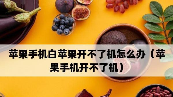 苹果手机白苹果开不了机故障的解决办法（如何应对苹果手机出现白苹果开不了机的情况）