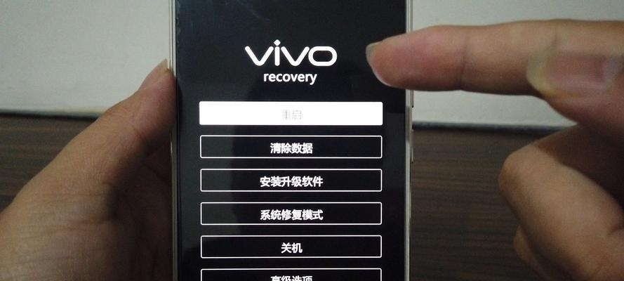 探索vivo手机型号的种类和特点（vivo手机型号分类及其功能与特点详解）