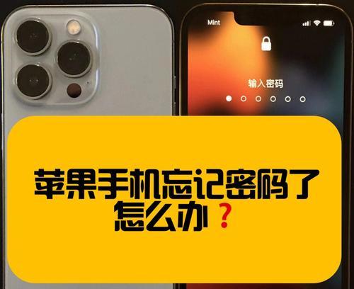 绕过密码直接下载iPhone应用的方法（突破密码保护，轻松获取iPhone应用的秘诀）