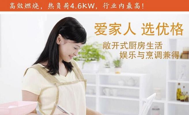 解决ugo油烟机故障的实用指南（掌握关键技巧）