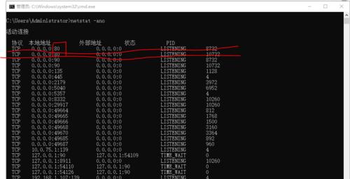 查看端口占用情况命令是什么（如何使用命令轻松了解网络连接状态）