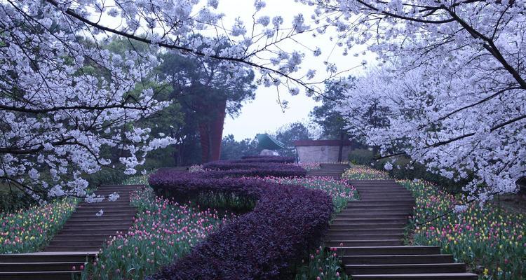 长沙有什么好玩的地方或者景点（长沙小众景点排名）