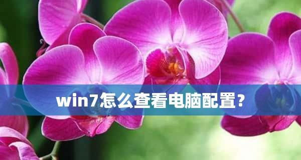 如何查看Windows7电脑的详细配置（掌握Windows7系统下的电脑配置查询技巧）