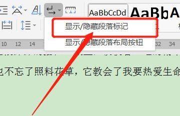 如何删除文档末尾空白页（简单有效的方法帮你轻松解决多余的空白页问题）