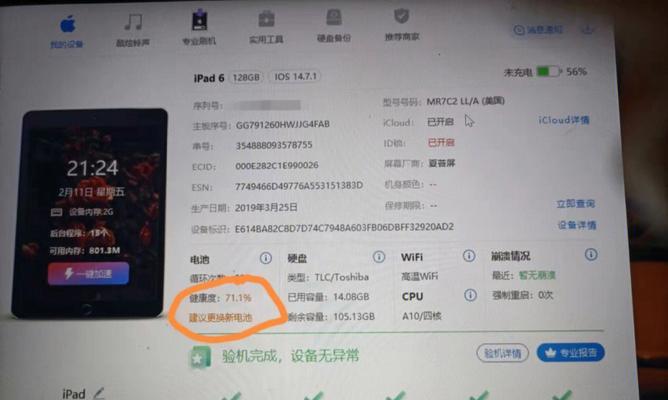 如何查询iPad电池寿命（快速了解iPad电池使用情况）