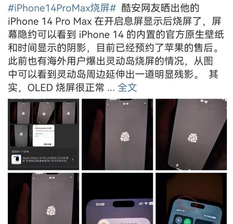 如何修复iPhone烧屏问题（掌握修复技巧）