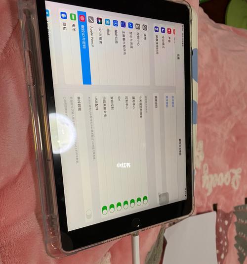 揭秘为什么iPad充不上电（探究iPad电池问题的根源和解决办法）