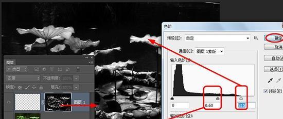 PS羽化效果全攻略——打造神秘绚丽的画面（学会羽化效果）