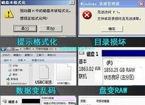 硬盘格式化数据恢复技巧（教你恢复被格式化的硬盘数据）