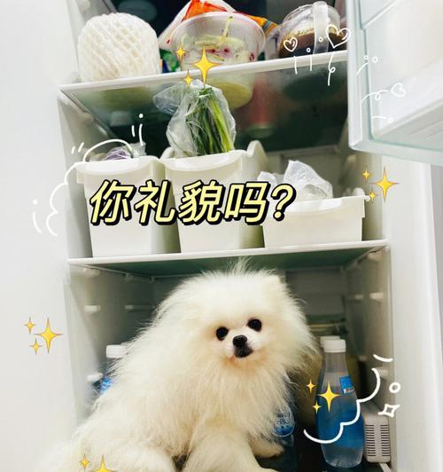 以冰柜犬的养殖方法（了解冰柜犬的特点与需求）