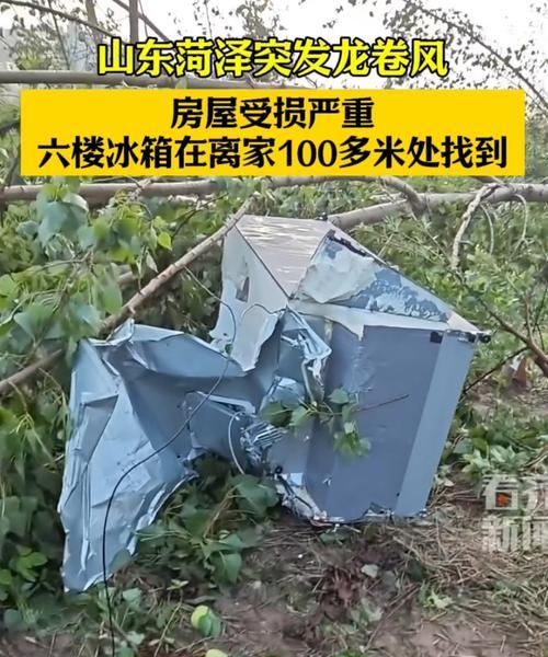 冰箱烧了的原因及预防方法（保护冰箱）