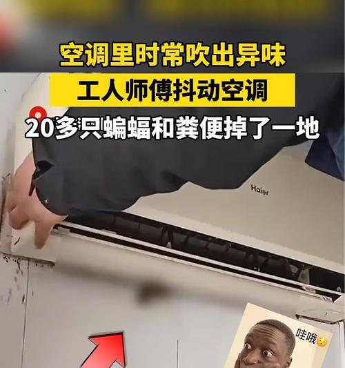 解析空调吹出臭味的原因及解决方法（了解空调臭味的类型和可能的健康问题）