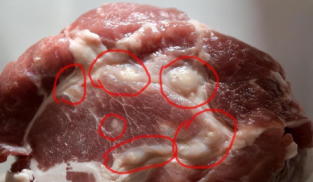 冷冻肉类的保存时间有多久（了解肉类冷冻保存的最佳时限和注意事项）