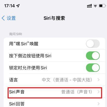 苹果iPhone的Siri语音功能有哪些常见问题？如何解决？