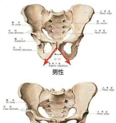 如何正确识别？教你识别的正确方式方法是什么？