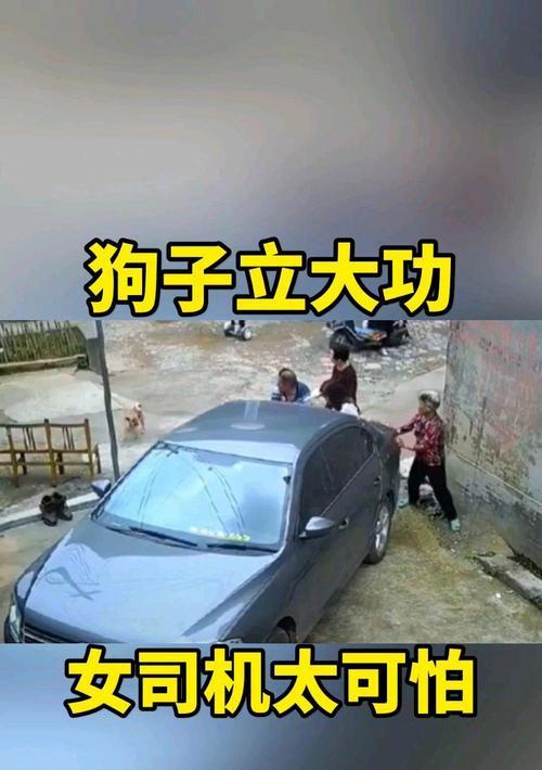 不看不知道一看吓一跳？这些生活小窍门你都知道吗？