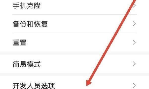 电脑如何进入开发者模式？教程步骤是什么？