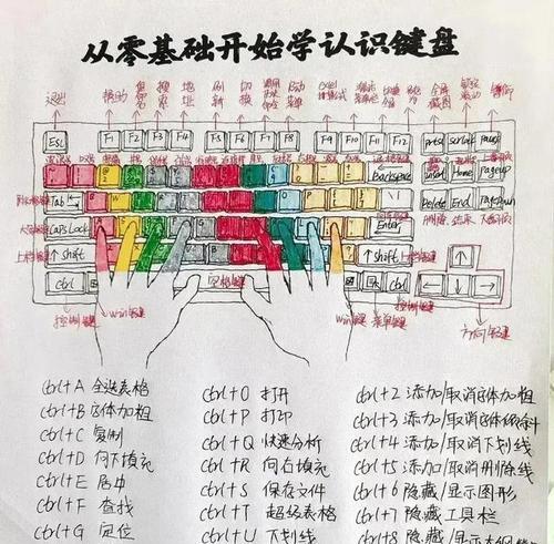 电脑键盘各键功能的使用是什么？如何正确使用每个键？