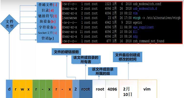 如何打开电脑中的隐藏目录？隐藏目录使用教程是什么？