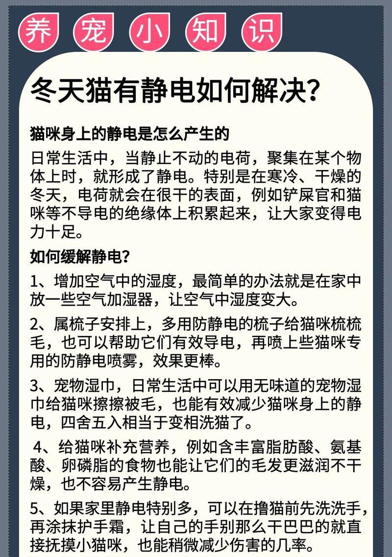 手机静电保护套怎么用的图片？使用过程中有哪些注意事项？